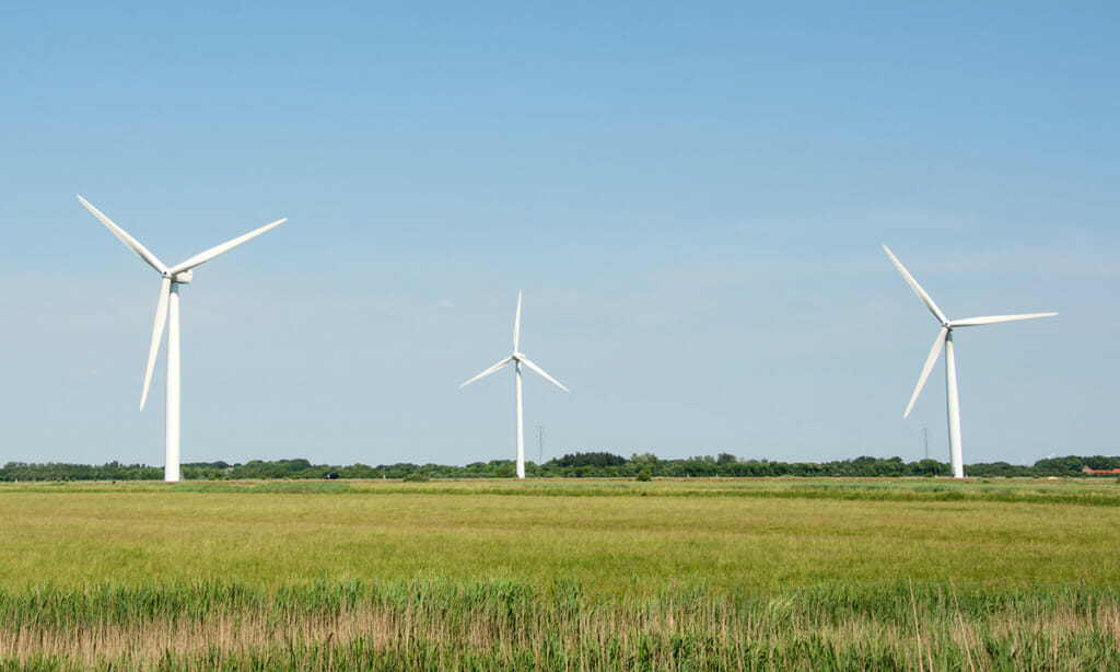 Tuulivoimaloita niityllä tuottamassa uusiutuvaa energiaa